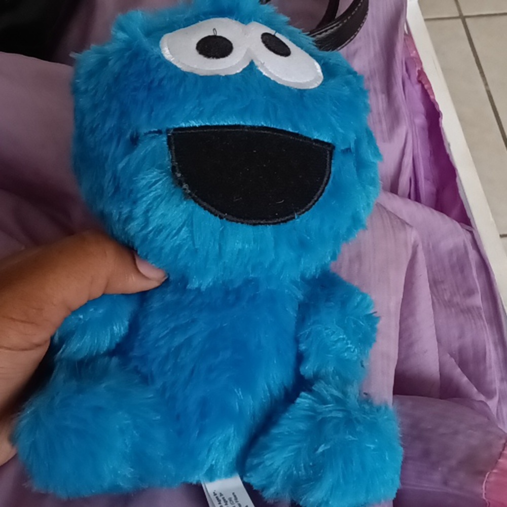 Cookie monster plushie small